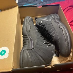 Jordan 12 winterized
